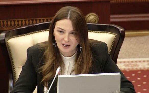 Ermənistanın Təbrizdə konsulluq açması... - Paşayeva